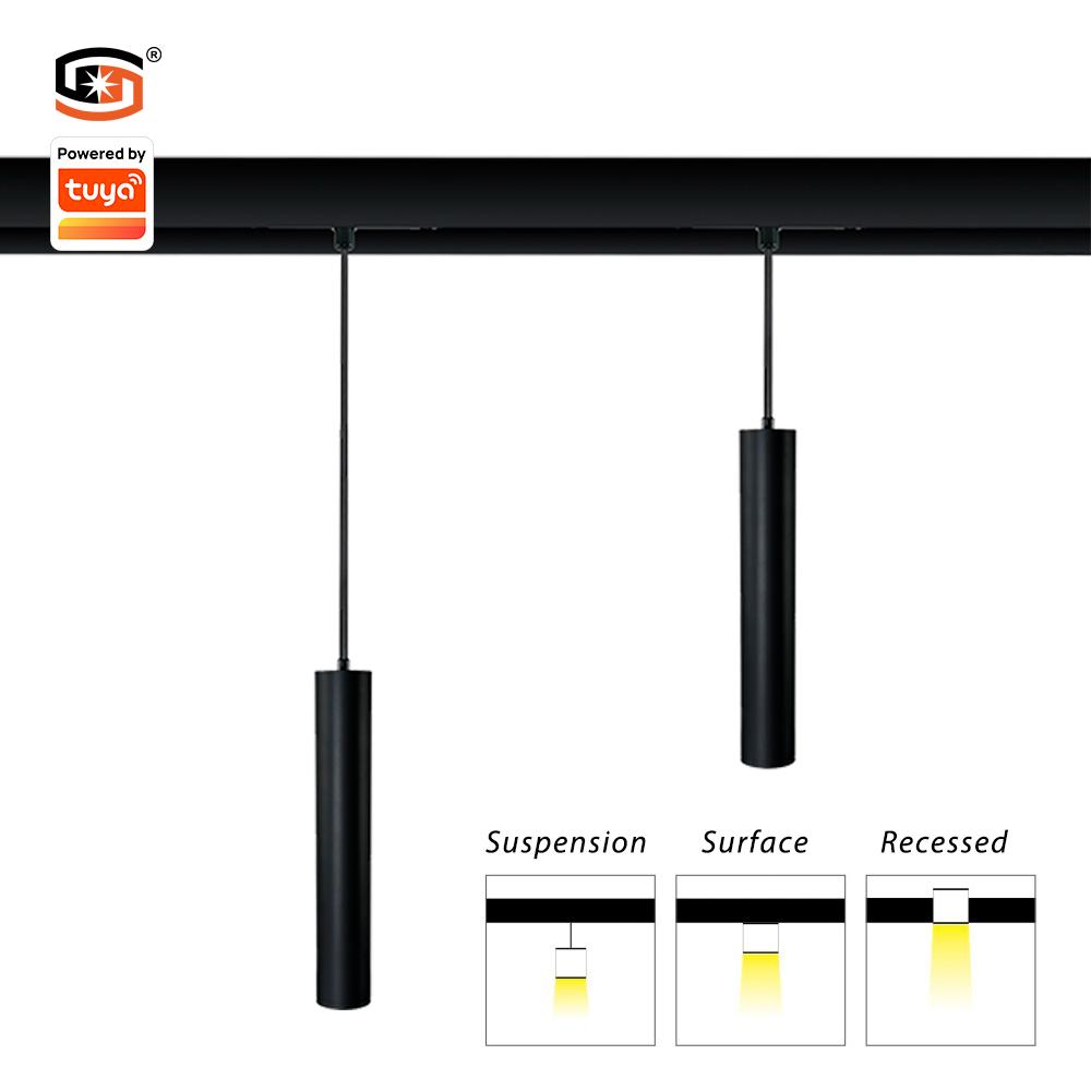 Ceiling Lights