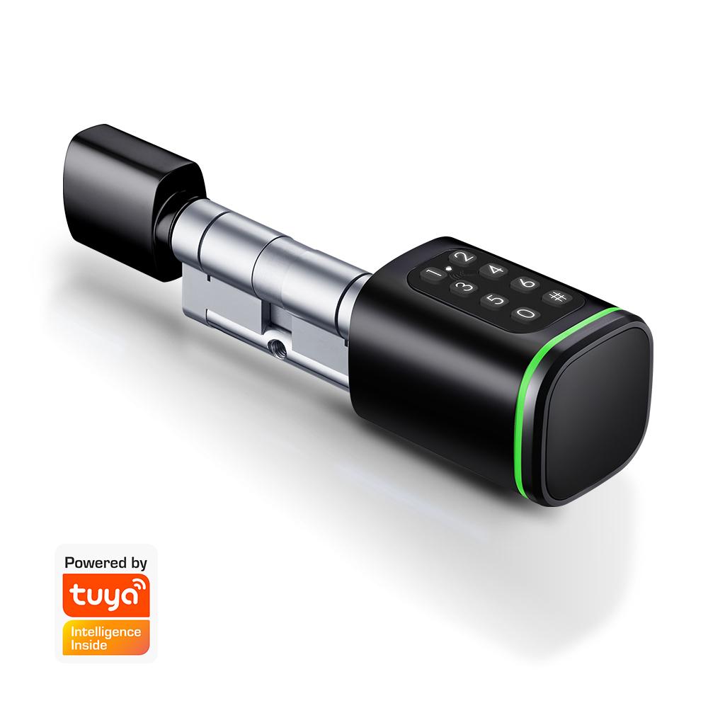 Smart Keypad Euro Lock