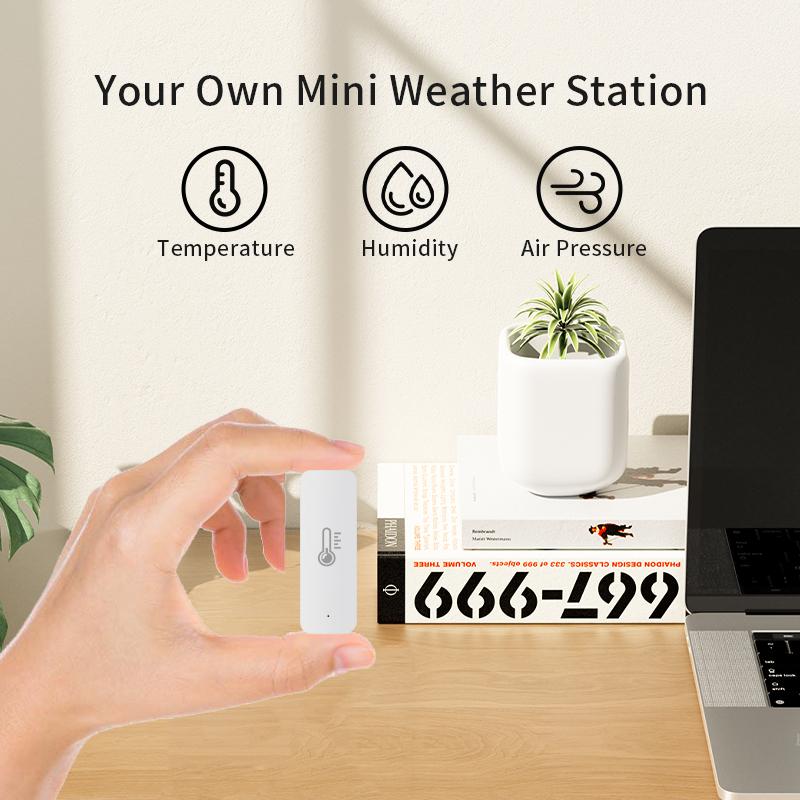 Tuya ZigBee Thermometer Hygrometer