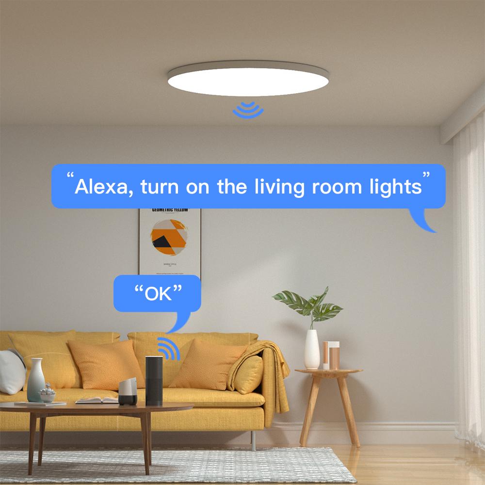 Smart dimmable ceiling light