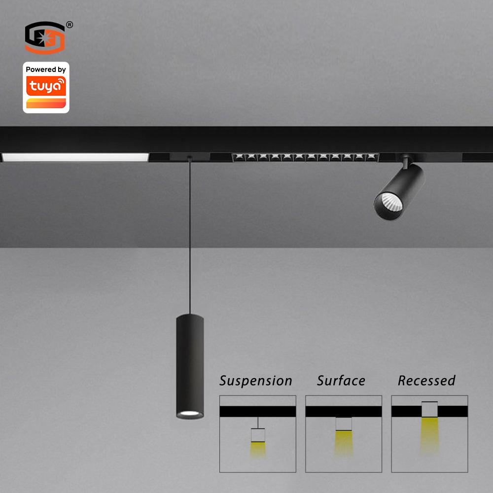 Smart magnetic pendant light