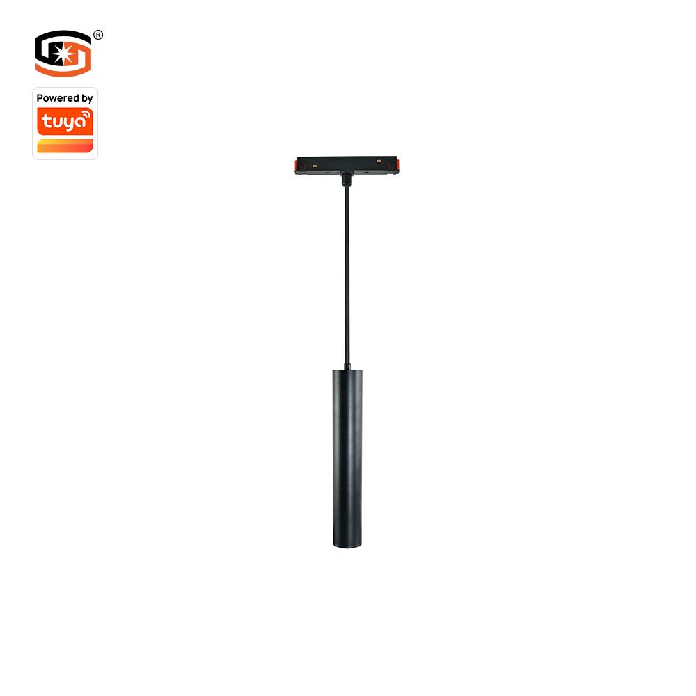 Smart magnetic pendant light