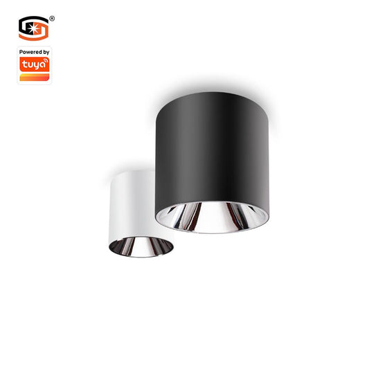 Surface mounted downlight