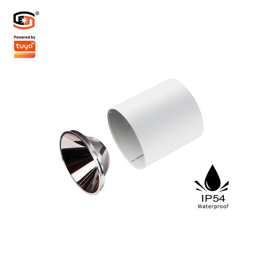 Surface mounted downlight