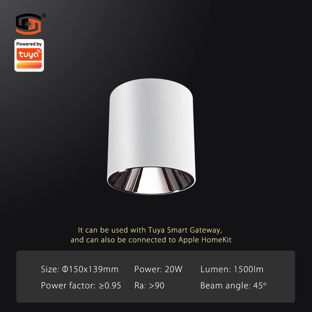 Surface mounted downlight