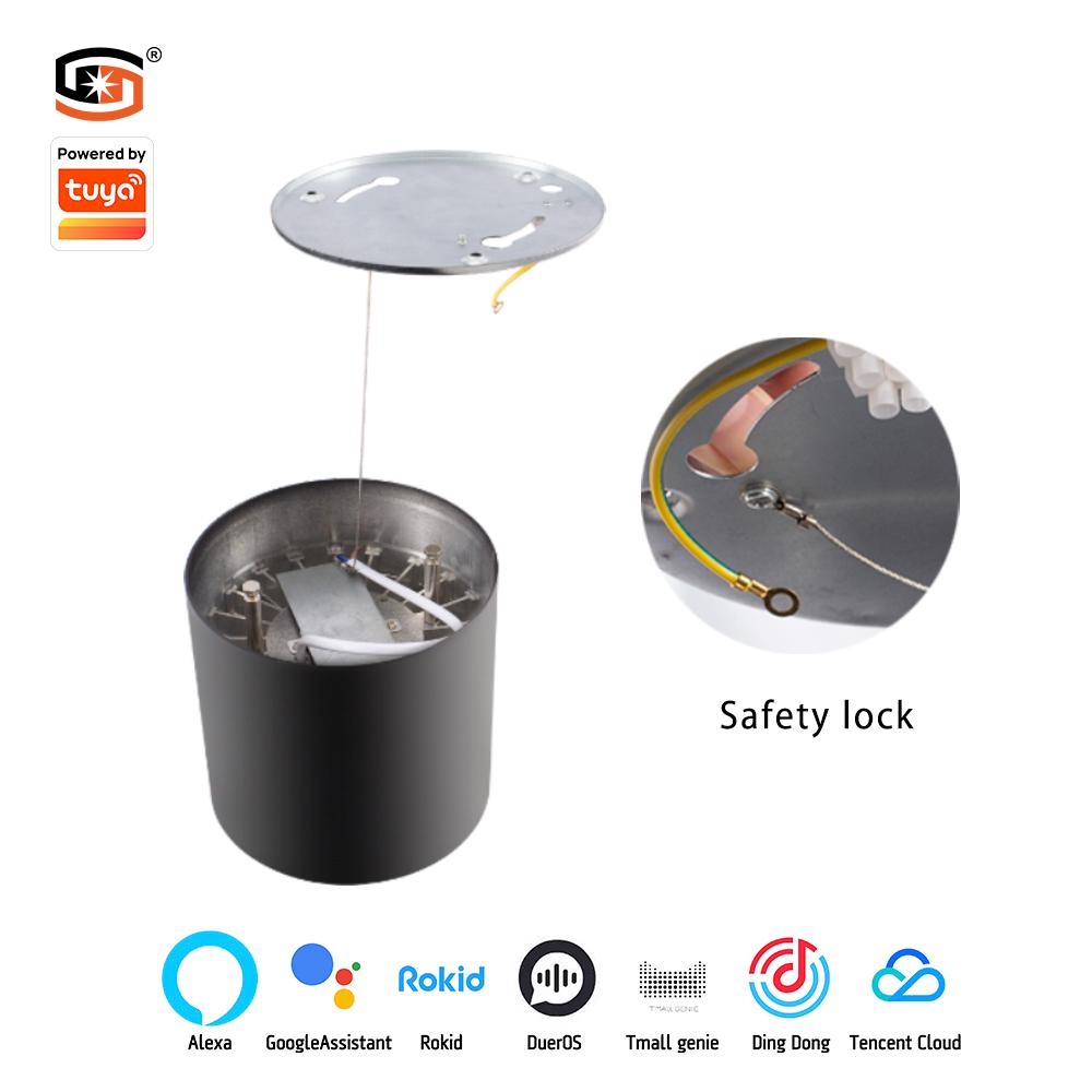 Surface mounted downlight