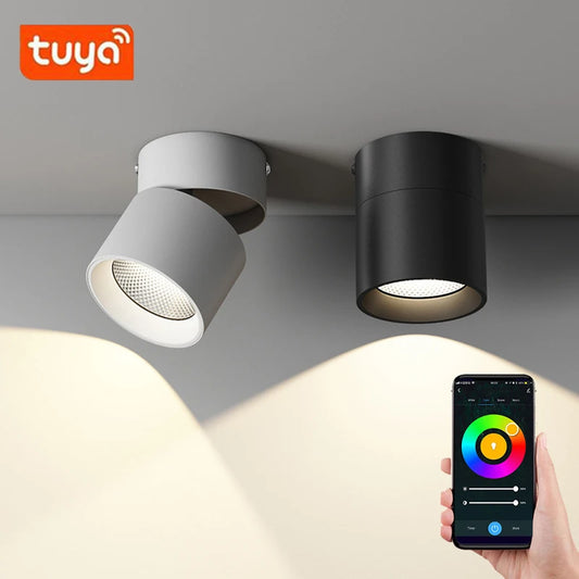 Smart Life Foldable Downlight