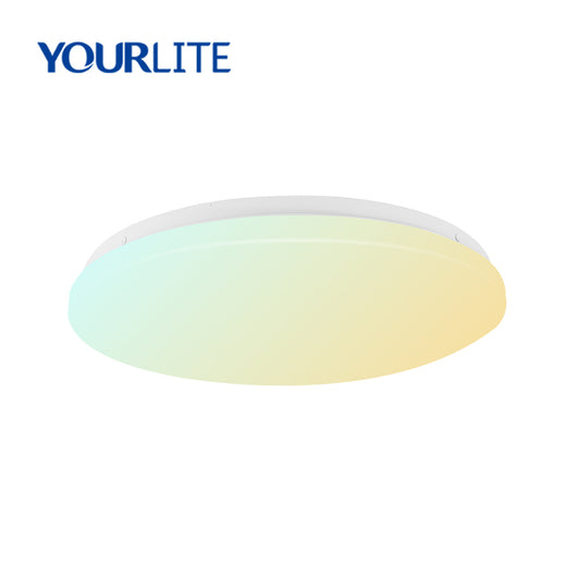 Dimmable ceiling light