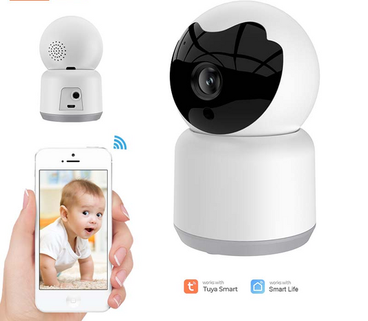 Indoor camera with intercom