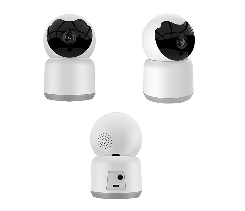 Indoor camera with intercom