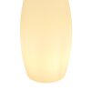Globo Vascon Outdoor Light with Remote Control & Colour Changer